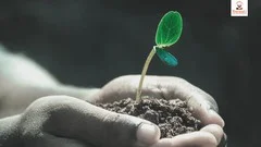 Digital online courses