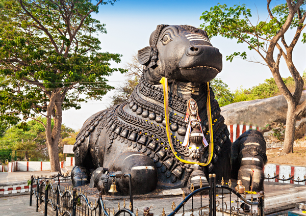 Top 10 Benefits Of Yoga Teacher Training In Bharat (India) 1 Roots in authentic tradition