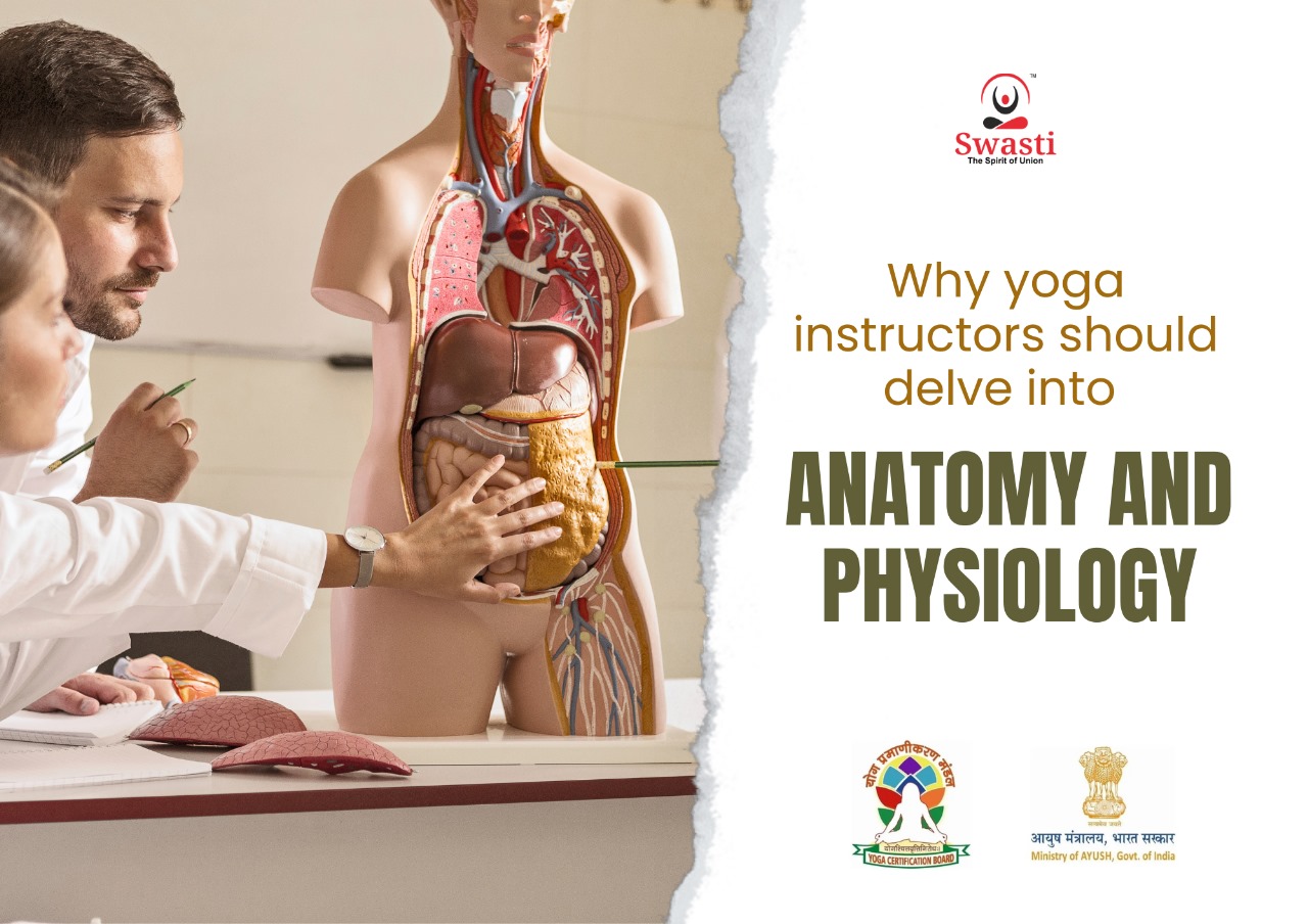 Five Reasons How Anatomy and Physiology Study Help Yoga Instructors