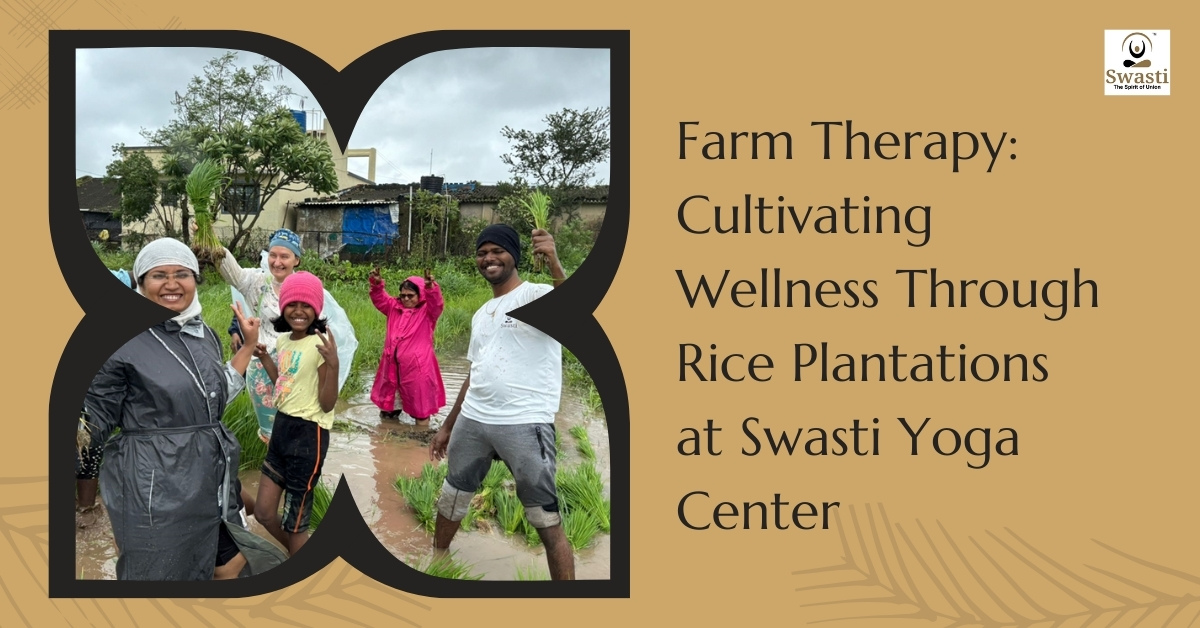 Farm Therapy Cultivating Wellness Through Rice Plantations at Swasti Yoga Center