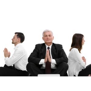 Corporate esg & brsr yoga program (level 3)