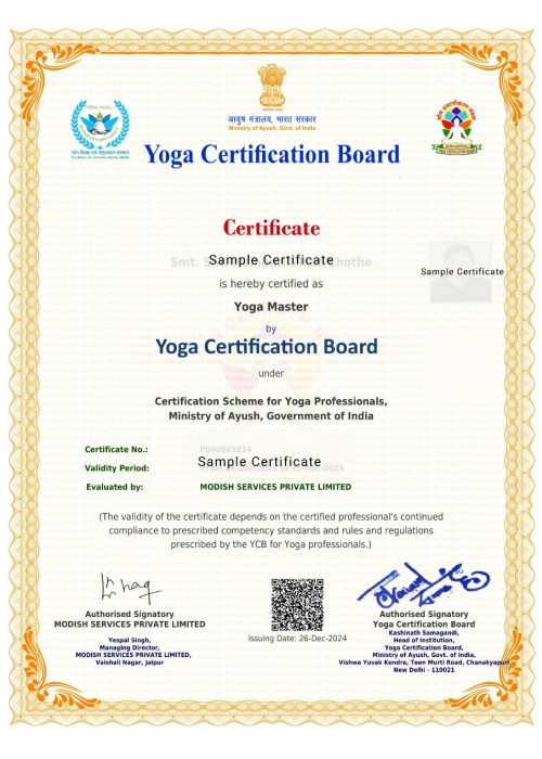 Level 4 - ycb certificate