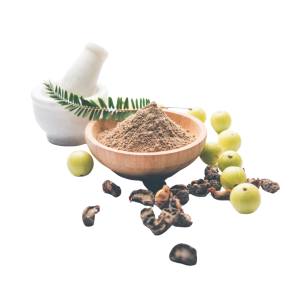 Swasti paka shastram (ayurveda cooking and yogic diet ttc)