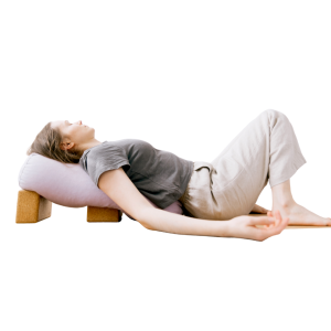 Yoga therapy ttc (level 2)