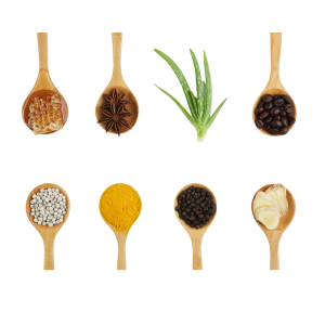 ~ all yoga teacher training courses ~