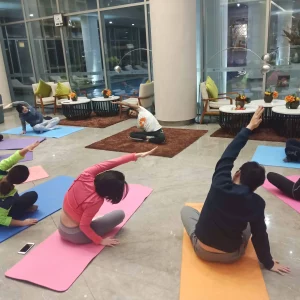 Yoga therapy ttc (level 1)