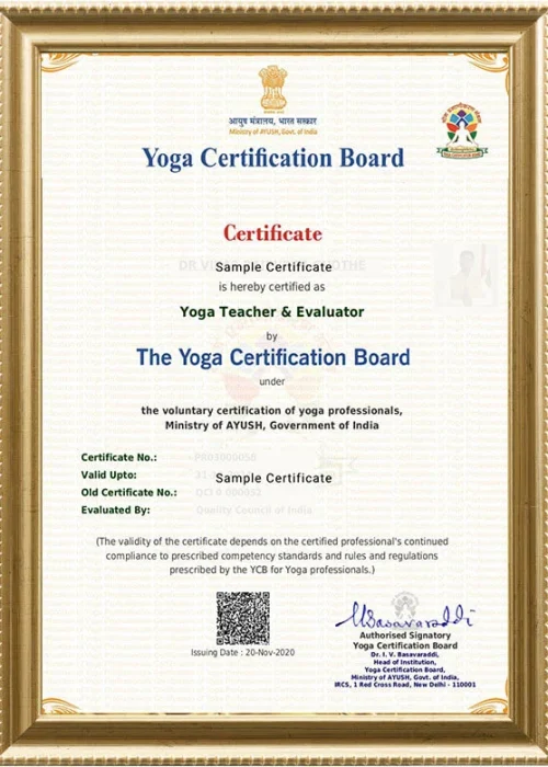 Level 3- yoga teacher and evaluator (yt&e)